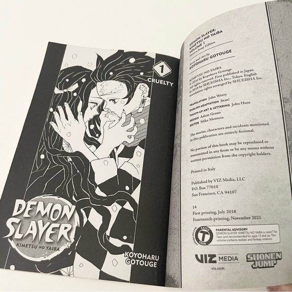 Demon Slayer Kimetsu no Yaiba Vol. 1 Manga - Picture 11 of 12